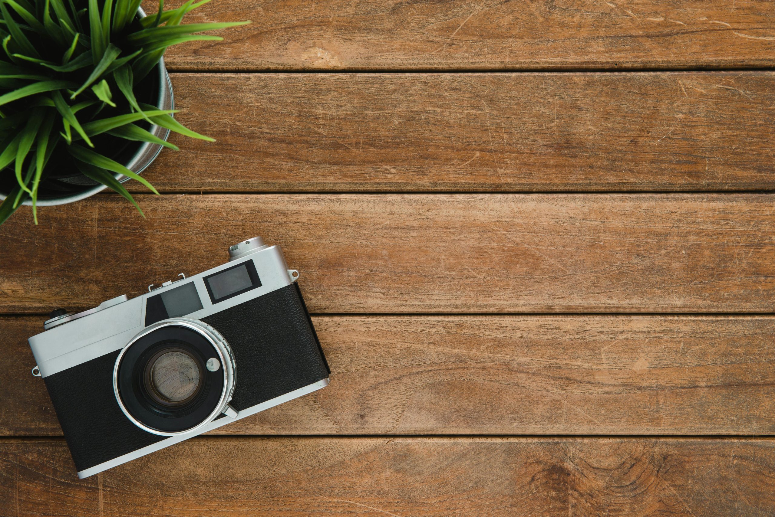 Home Retro camera and potted plant on wooden surface with copy space.